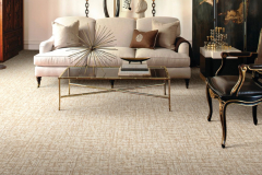 floored_new_york_broadloam_carpet003